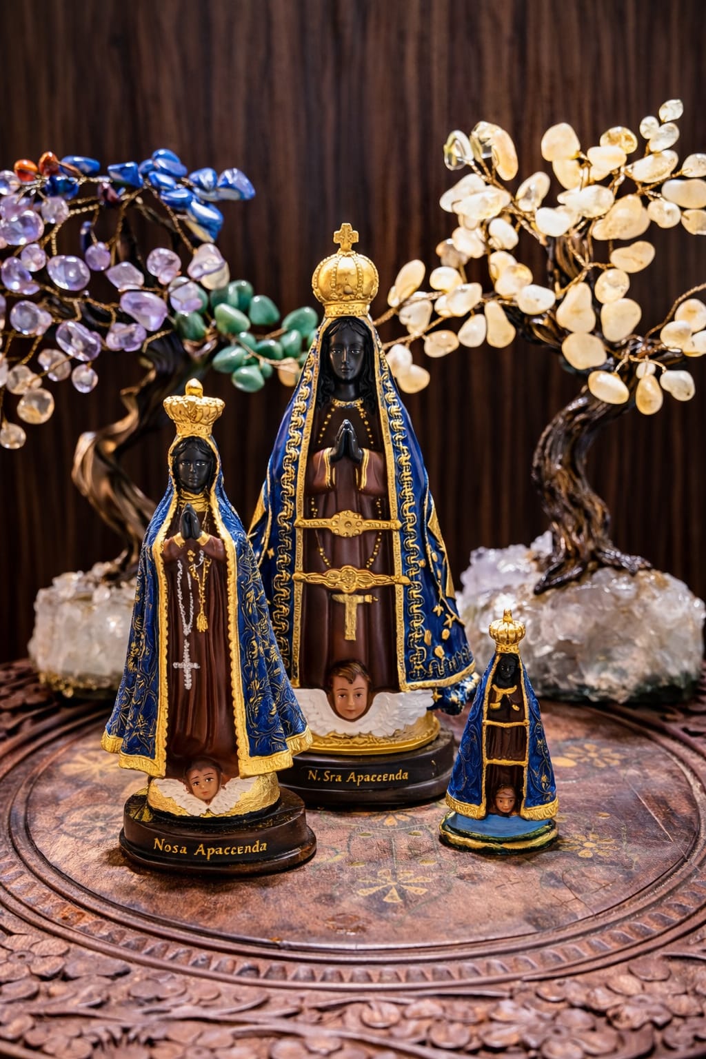 aparecida capa