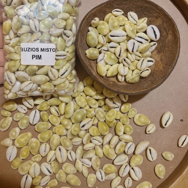 Búzios Gema P/M - 250G