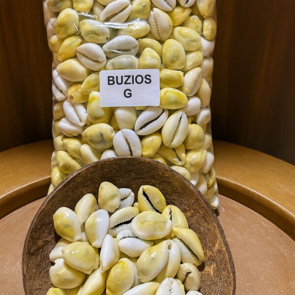 Búzios Gema G - 1Kg