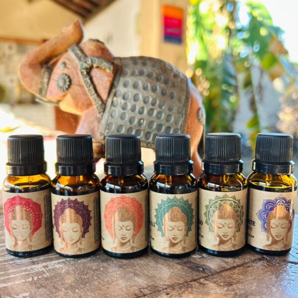 Essências Aromáticas - Vila Zen