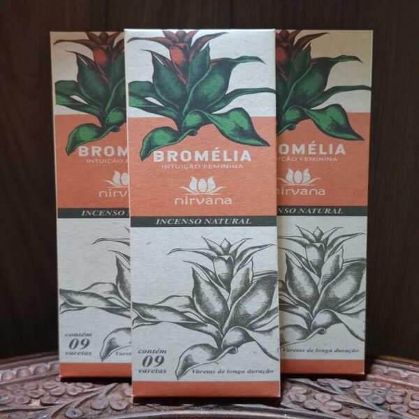 Incenso Nirvana Tradicional - Bromélia